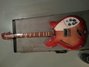 Rickenbacker 360/12 , Fireglo: Full Instrument - Front