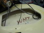 Rickenbacker 360/6 BH BT, White: Free image