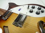 Rickenbacker 330/6 , MonteBrown: Close up - Free2