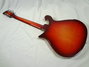 Rickenbacker 660/6 , Amber Fireglo: Full Instrument - Rear