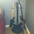 Rickenbacker 360/6 , Jetglo: Full Instrument - Rear