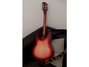 Rickenbacker 330/6 , Fireglo: Full Instrument - Rear