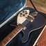 Rickenbacker 620/6 , Midnightblue: Free image