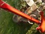 Rickenbacker 4003/4 , Fireglo: Neck - Rear