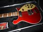 Rickenbacker 660/6 , Ruby: Free image