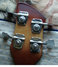 Rickenbacker 2030/4 , Fireglo: Headstock - Rear