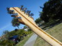 Rickenbacker 360/12 , Mapleglo: Neck - Rear