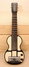 Rickenbacker BD/6 LapSteel, Brown: Full Instrument - Front