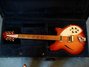 Rickenbacker 360/12 , Fireglo: Full Instrument - Front