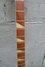 Rickenbacker 4001/4 , Natural Maple: Neck - Front