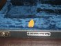 Rickenbacker 360/12 V64, Fireglo: Close up - Free2