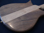 Rickenbacker 650/6 Sierra, Natural Walnut: Full Instrument - Rear
