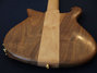 Rickenbacker 650/6 Sierra, Natural Walnut: Neck - Rear