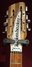 Rickenbacker 366/12 , Mapleglo: Headstock