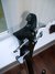 Rickenbacker 4004/4 Laredo, Jetglo: Headstock - Rear