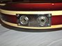 Rickenbacker 381/6 V69, Fireglo: Free image2