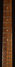 Rickenbacker 330/6 , Mapleglo: Neck - Front