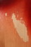 Rickenbacker 340/6 , Fireglo: Free image