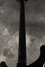 Rickenbacker 4001/4 C64S, Jetglo: Neck - Rear