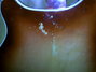 Jul 1965 Rickenbacker 360/12 , Fireglo: Body - Rear