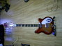 Rickenbacker 360/12 , Fireglo: Full Instrument - Front