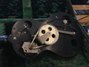 Rickenbacker Electro Spanish/6 Round Neck, Black: Neck - Rear