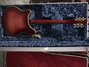Rickenbacker 366/12 , Fireglo: Full Instrument - Rear
