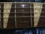 Rickenbacker 366/12 , Fireglo: Neck - Front