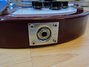Rickenbacker 330/6 Mod, Fireglo: Close up - Free