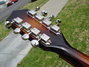 Rickenbacker 5002/8 V58, MonteBrown: Headstock - Rear
