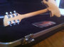 Rickenbacker 620/6 , Mapleglo: Full Instrument - Rear