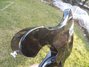 Rickenbacker 4003/4 Blackstar, Jetglo: Free image2