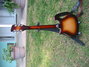 Rickenbacker 660/12 , MonteBrown: Free image