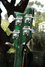 Rickenbacker 4005/4 Refin, Trans Green: Headstock - Rear