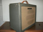 Rickenbacker M-11/amp , Gray: Free image