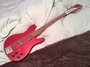 Jun 2012 Rickenbacker 2030/12 PW Refin, Ruby: Body - Rear