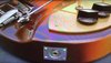 Rickenbacker 345/6 Mod, Fireglo: Close up - Free
