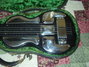 Rickenbacker B/6 LapSteel, Black: Free image