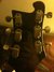 Rickenbacker 480/6 , Burgundy: Headstock - Rear