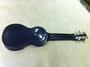 Rickenbacker B/6 LapSteel, Black: Full Instrument - Rear