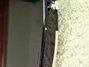 Mar 1984 Rickenbacker 4003/4 , Jetglo: Body - Rear