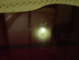 Mar 1978 Rickenbacker 4001/4 , Burgundy: Body - Rear