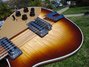 Rickenbacker 660/12 , MonteBrown: Free image