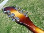 Rickenbacker 660/12 , MonteBrown: Headstock - Rear