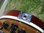 Rickenbacker 660/12 , MonteBrown: Close up - Free