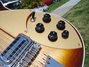 Rickenbacker 660/12 , MonteBrown: Close up - Free2