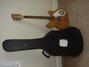 Rickenbacker 360/6 , Mapleglo: Free image
