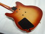 Rickenbacker 250/6 El Dorado, Fireglo: Full Instrument - Rear
