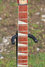 Rickenbacker 660/12 , Burgundy: Neck - Front
