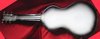 Rickenbacker 59/6 LapSteel, Gray Sunburst: Full Instrument - Rear